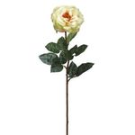 front view