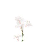 Giorgio-Armani-My-Way-Eau-de-Parfum-50ml