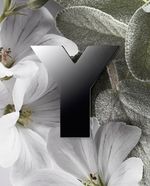 Yves-Saint-Laurent-Y-Eau-de-Parfum-