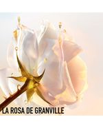 Prestige-Le-Sucre-de-Gommage-