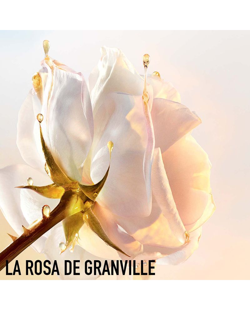 Prestige-Le-Sucre-de-Gommage-