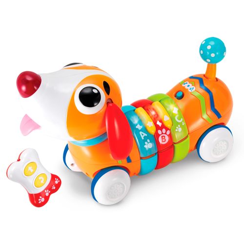 Winfun Cachorro Arco Iris
