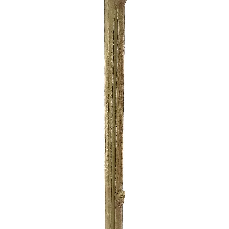 side view