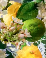BERGAMOTE-CALABRIA