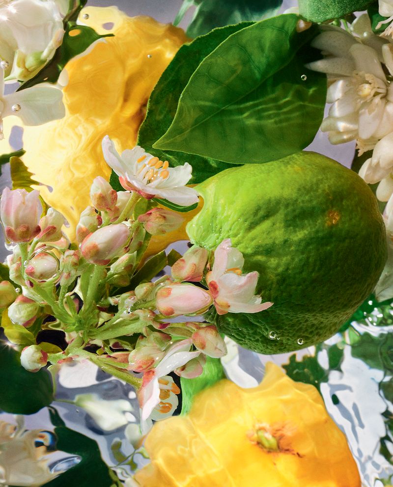 BERGAMOTE-CALABRIA