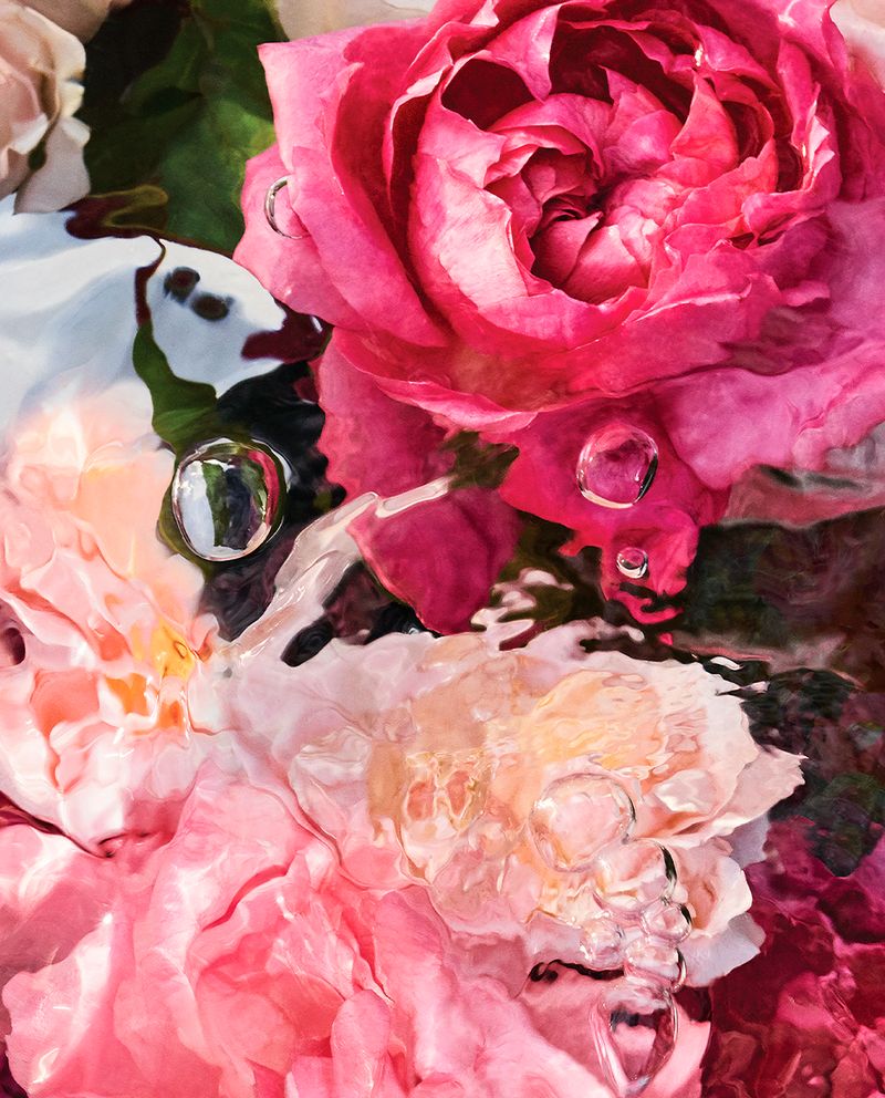 ROSA-ROSSA