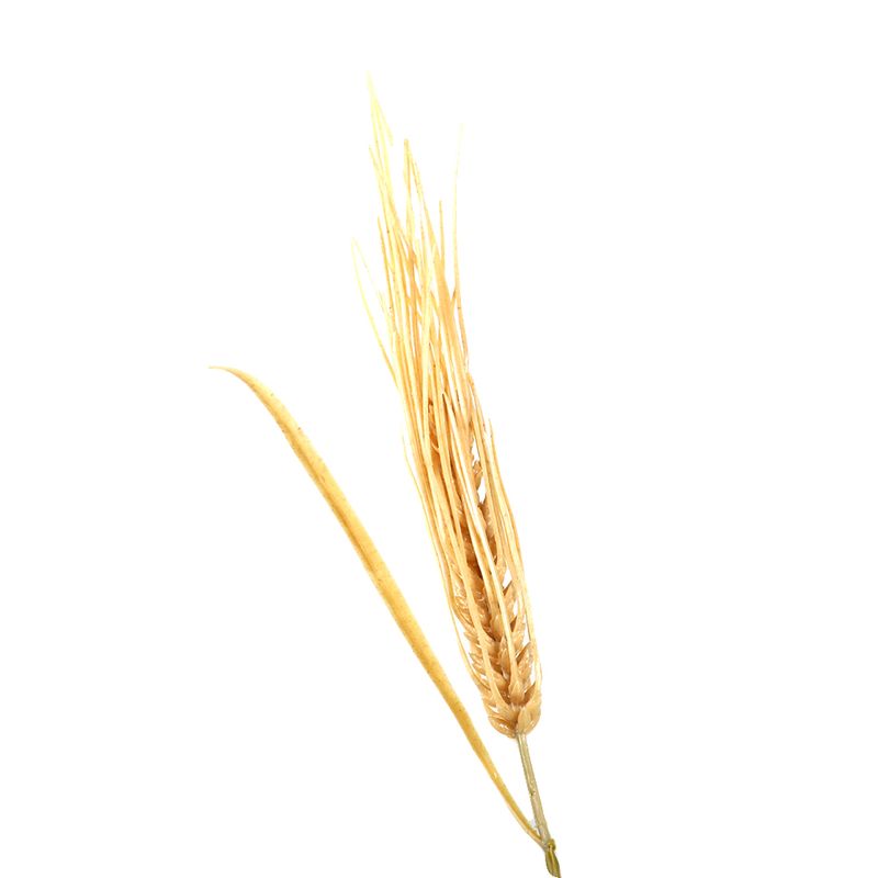 side view