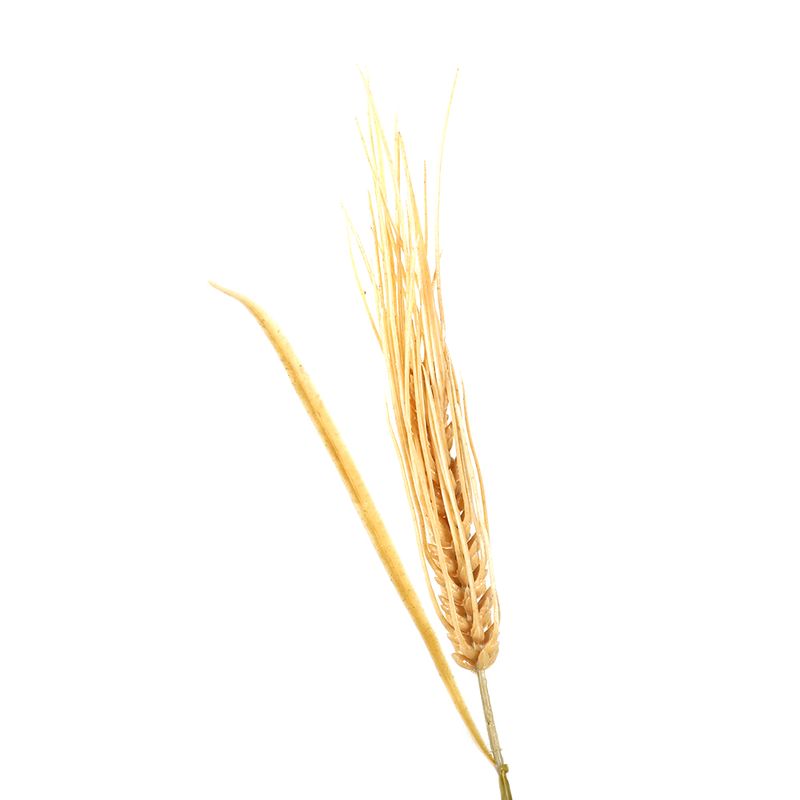 side view