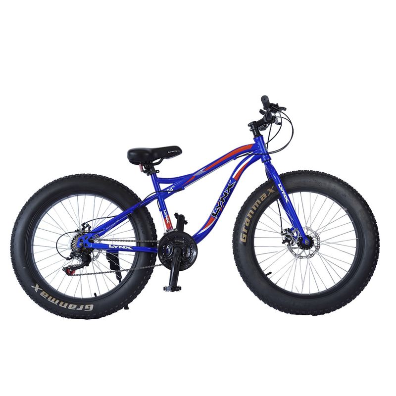 Bicicleta Lynx Fat Mtb Rin 24