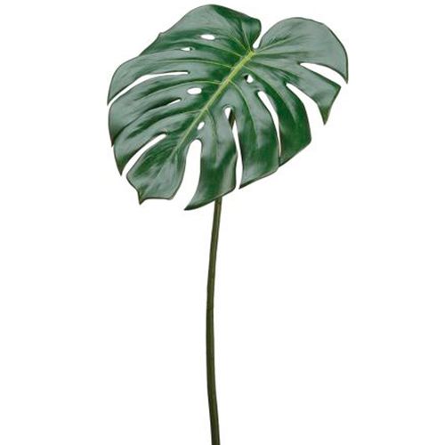 Hoja de monstruo 58,4 cm