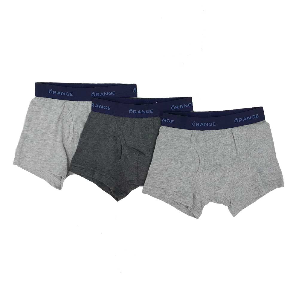 Set de 3 piezas ropa interior gris con estampado para niño