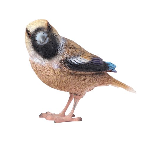 Pájaro decorativo surtido