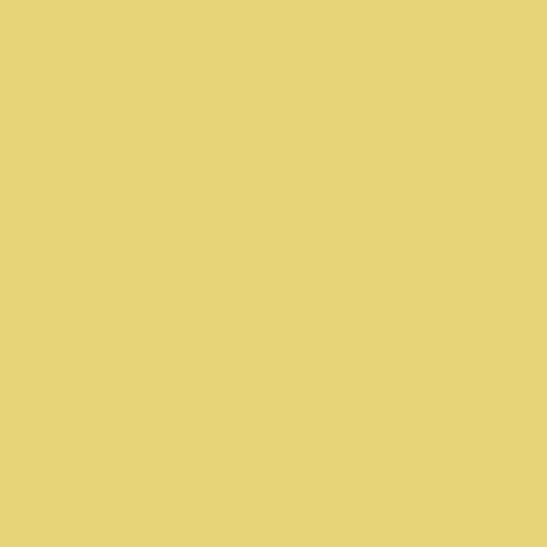 Pintura Excello latex mate interior exterior