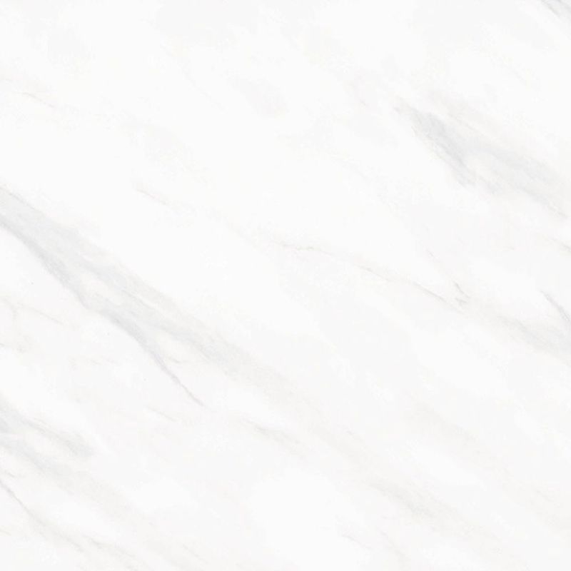 image-f570f92a324040d59d1b0ff18937cc94