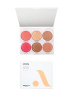 Icon-Face-Palette---Medium-to-Rich