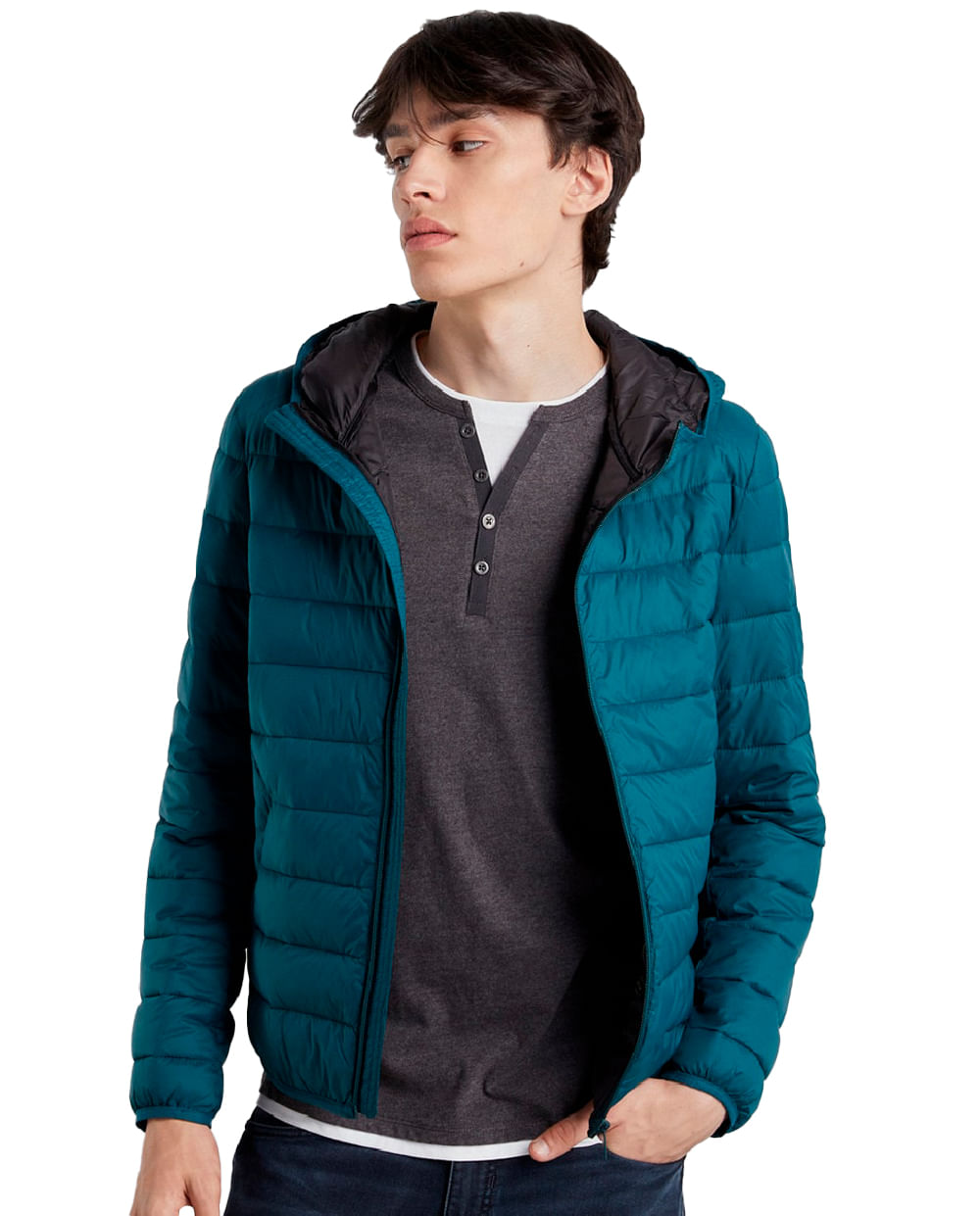 Chaqueta acolchada verde aceituna Hombre de Tee Jays  Chaqueta hombre, Chaquetas  acolchadas hombre, Chaquetas masculinas