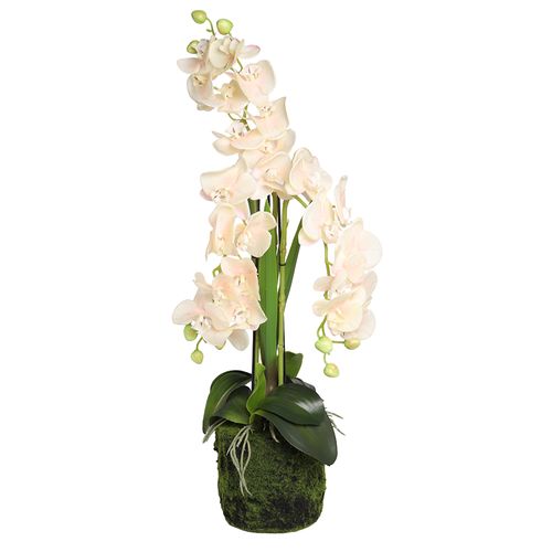 Orquídea artificial 50 cm