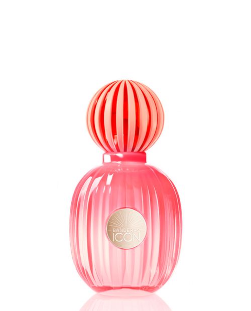 The Icon Splendid Eau de Parfum Banderas