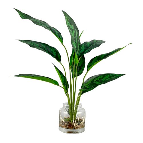 Planta con maceta de vidrio 32x32x40cm