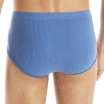 103281760-Pack de 3 calzoncillos Hanes brief multicolor para hombre