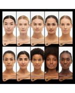 Facefinity-Multi-Perfector-3C