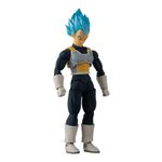104695809-Dragon-Ball-Evolve-Super-Saiyan-Blue-Vegeta-5-
