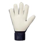 104659785-Guantes-de-portero-Nike-GK-Macth-celestes