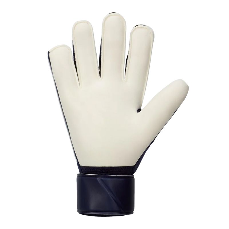 104659785-Guantes-de-portero-Nike-GK-Macth-celestes