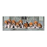 104697737-Clementoni-Pzl-1000-Cachorros-Beagles-