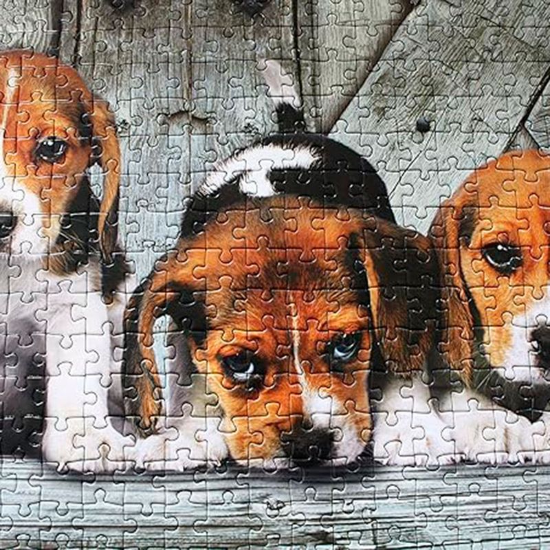 104697737-Clementoni-Pzl-1000-Cachorros-Beagles-