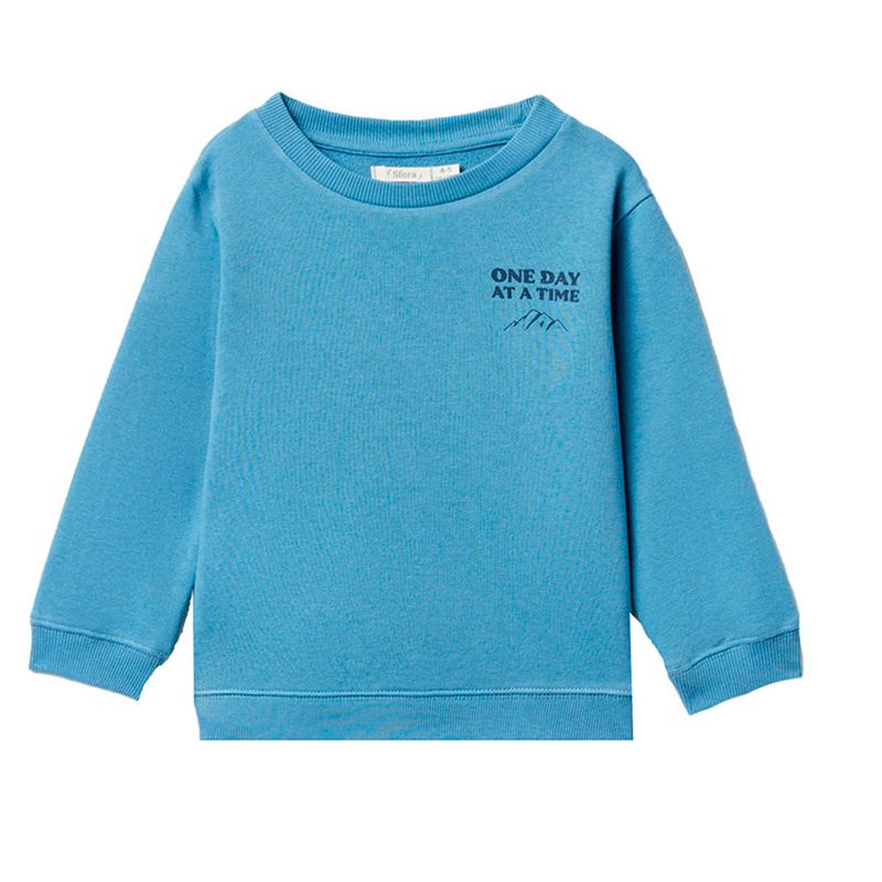 104719722-Sueter-celeste-con-estampado-para-niño