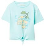 104669667-Blusa-celeste-con-estampado-para-niña
