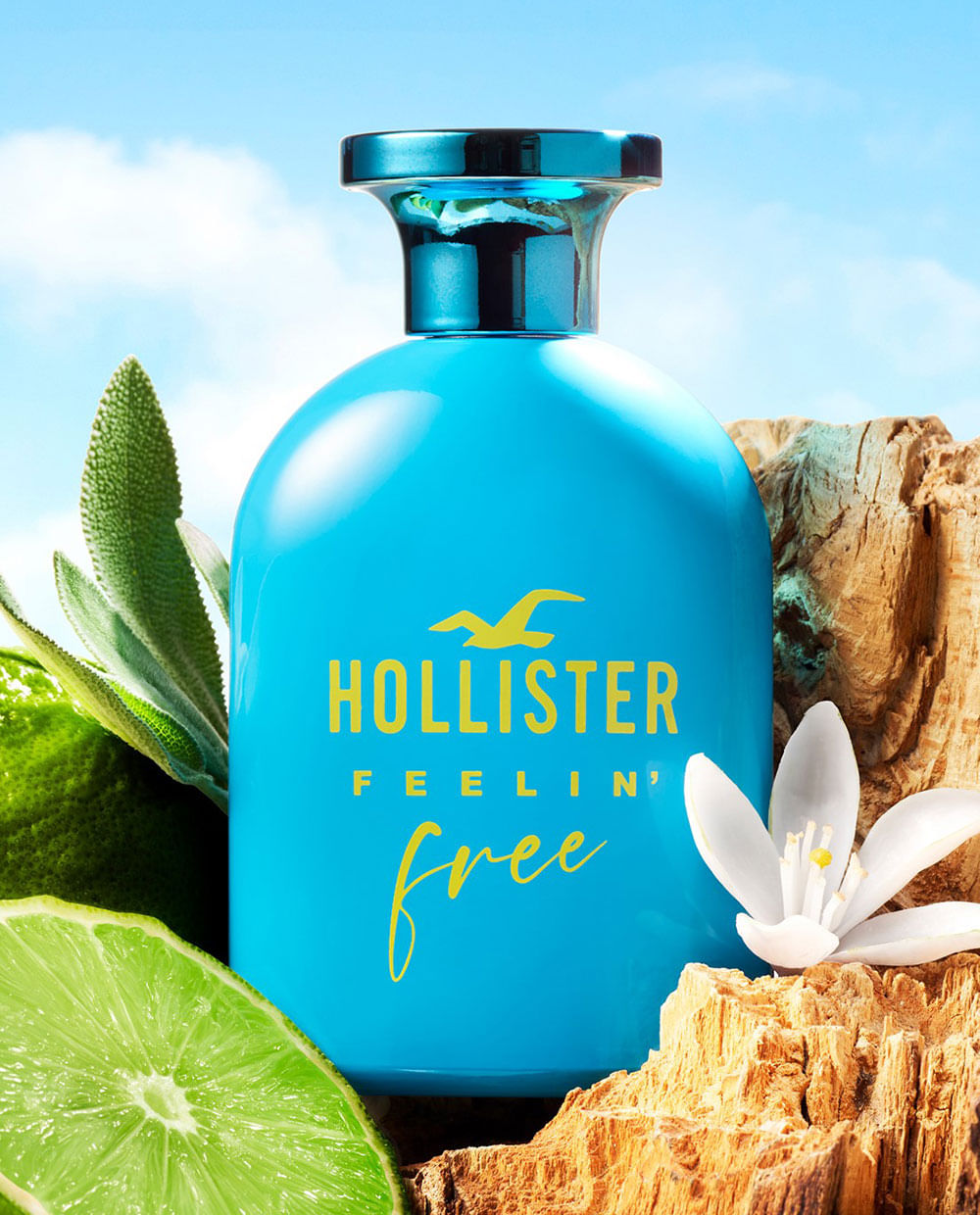 Feeling Free for Him Eau de Toilette 100ml - Siman El Salvador