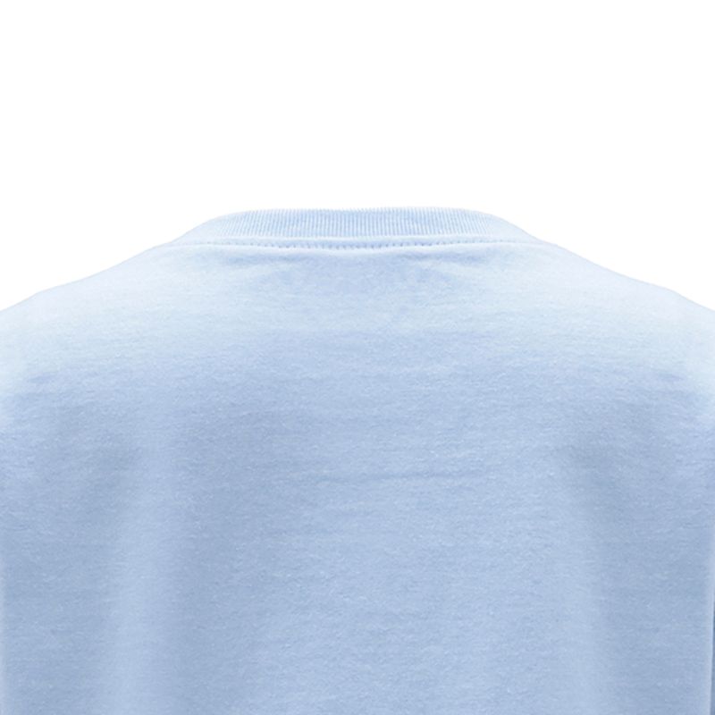104747725-Blusa-celeste-con-estampado-para-niña