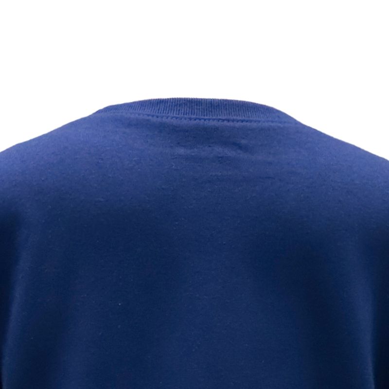 104747733-Blusa-azul-con-estampado-para-niña