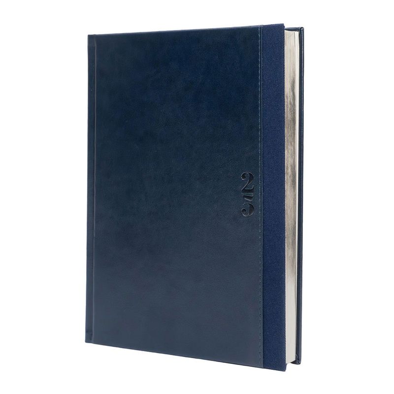 104705747-Agenda-Premium-Diaria-azul-Apaneca-