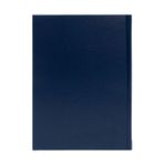 104705751-Agenda-Premium-Diaria-azul-Ilamatepec
