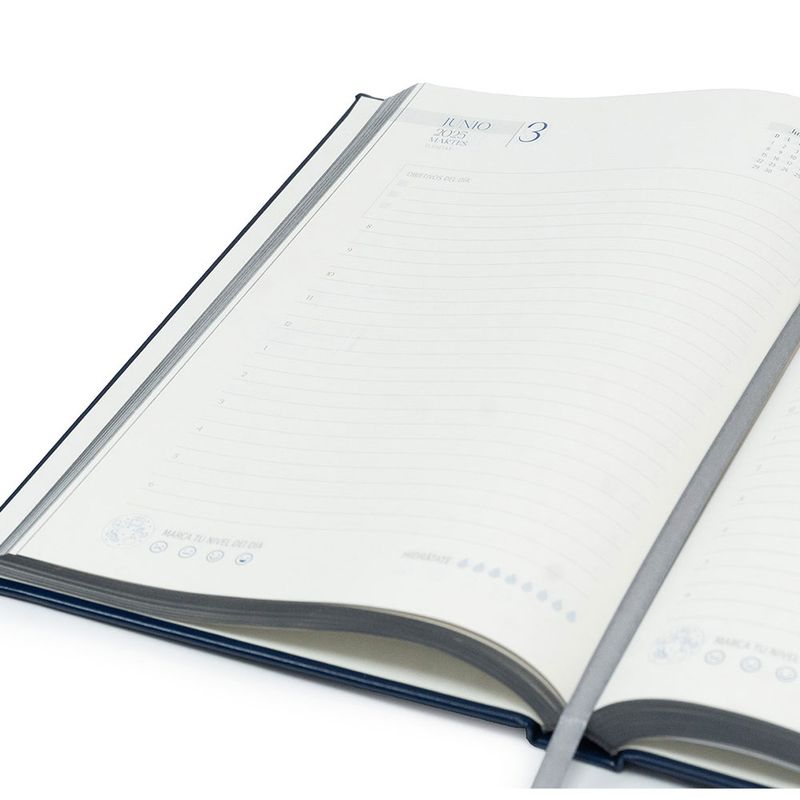 104705751-Agenda-Premium-Diaria-azul-Ilamatepec