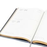104705769-Agenda-Premium-Gerencial-celeste-Sunzal-