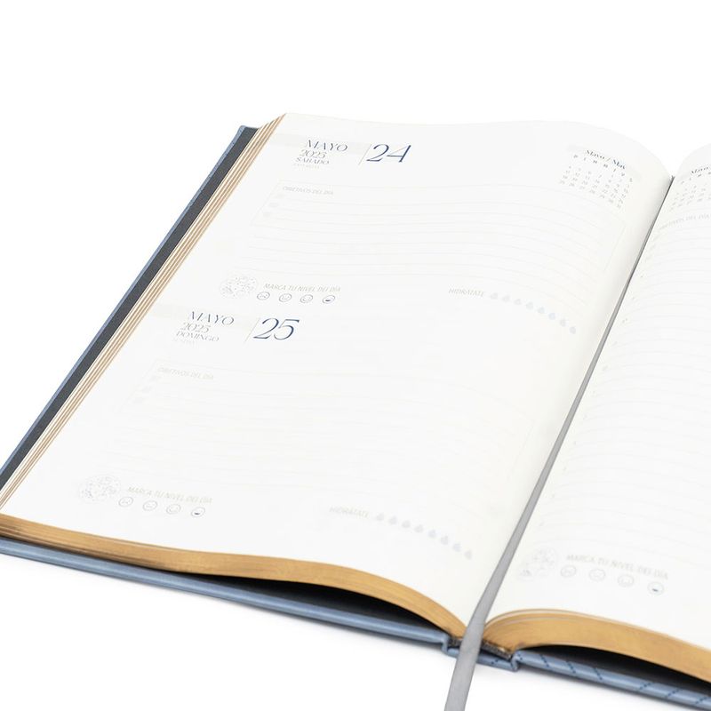 104705769-Agenda-Premium-Gerencial-celeste-Sunzal-