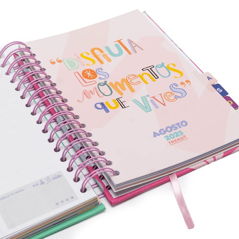 104705773-Agenda-Trendy-Inspiration-multicolor