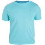 104663908-Camiseta-celeste-solido-para-niño