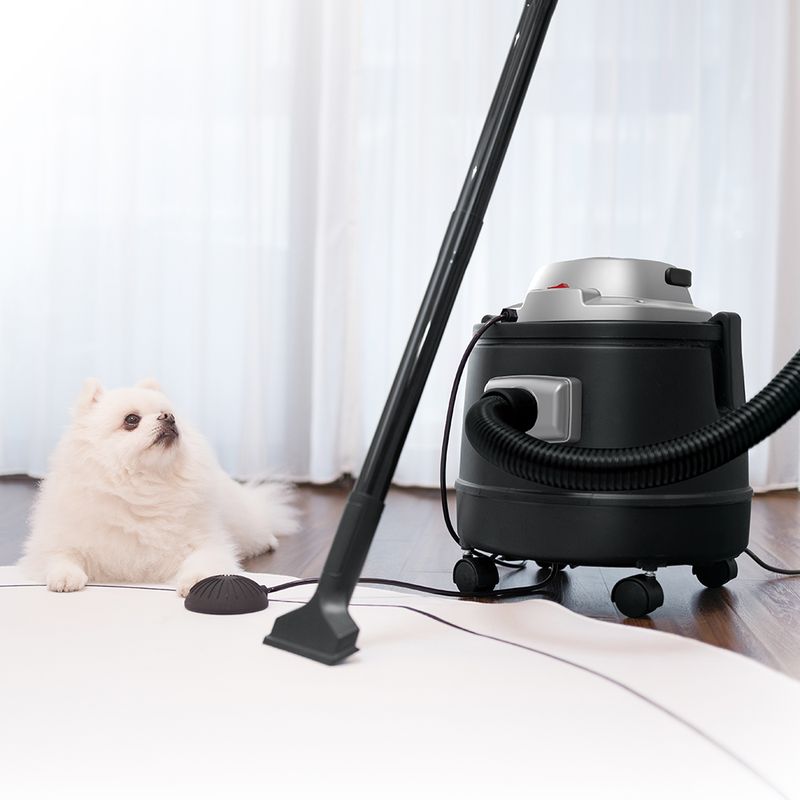 Sea Turtle Clipart Animali Acquatici Clipart Per Gli Amanti Degli Animali Marini Sottomarini La Vita Marina 199582602 - Foto 6