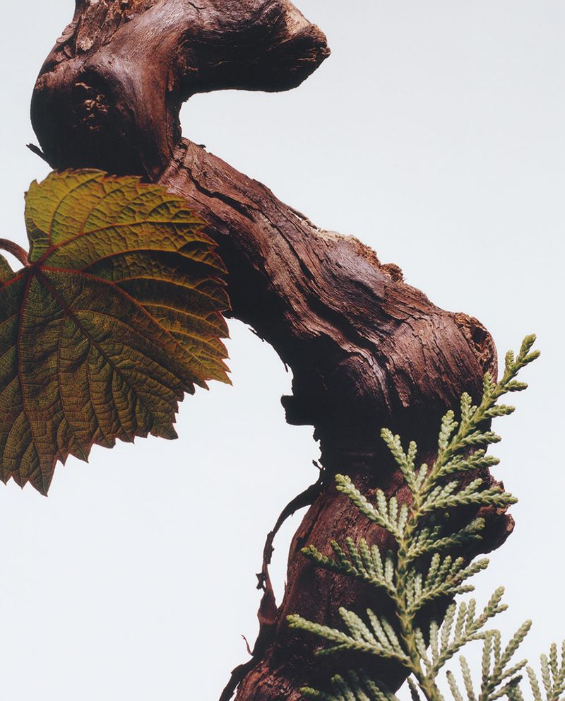 side view
