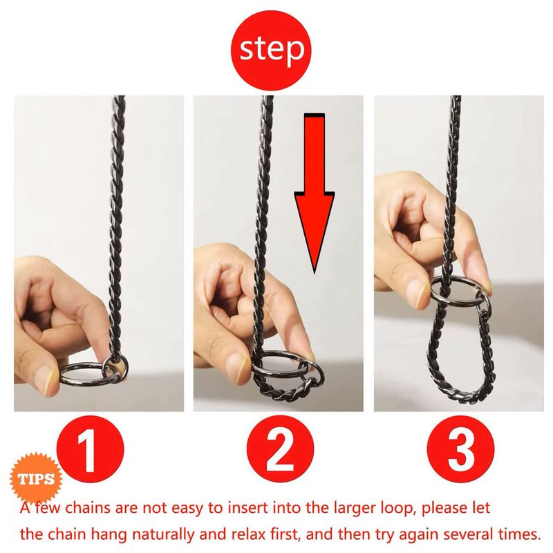 104597949_5