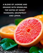 104797542--Set-Hand-Care-Sweet-Mandarin---Grapefruit-Luxury-
