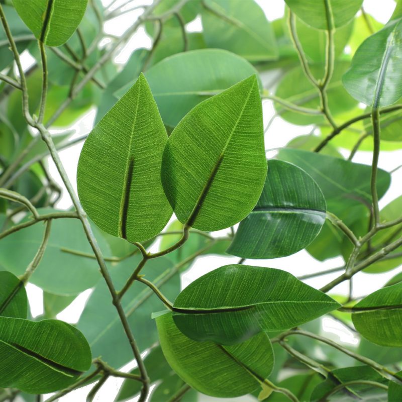 side view