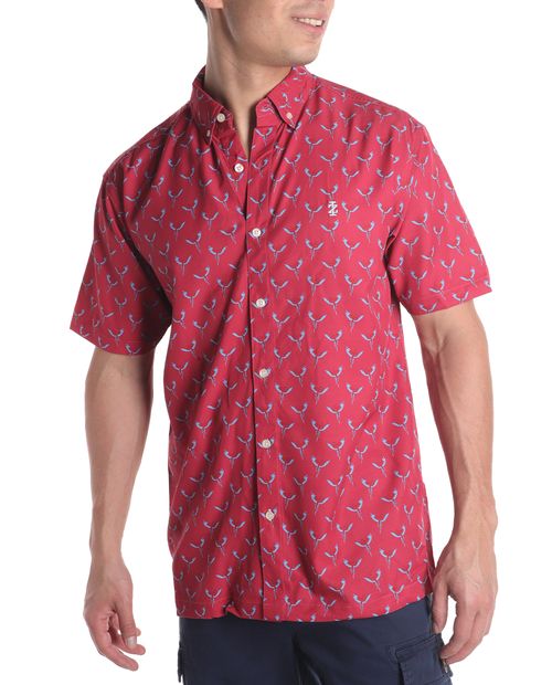 Camisa casual Izod roja mini print pájaros para hombre