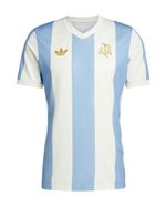 104826978-Camiseta-deportiva-Argentina-Adidas-rayada-bicolor-para-hombre
