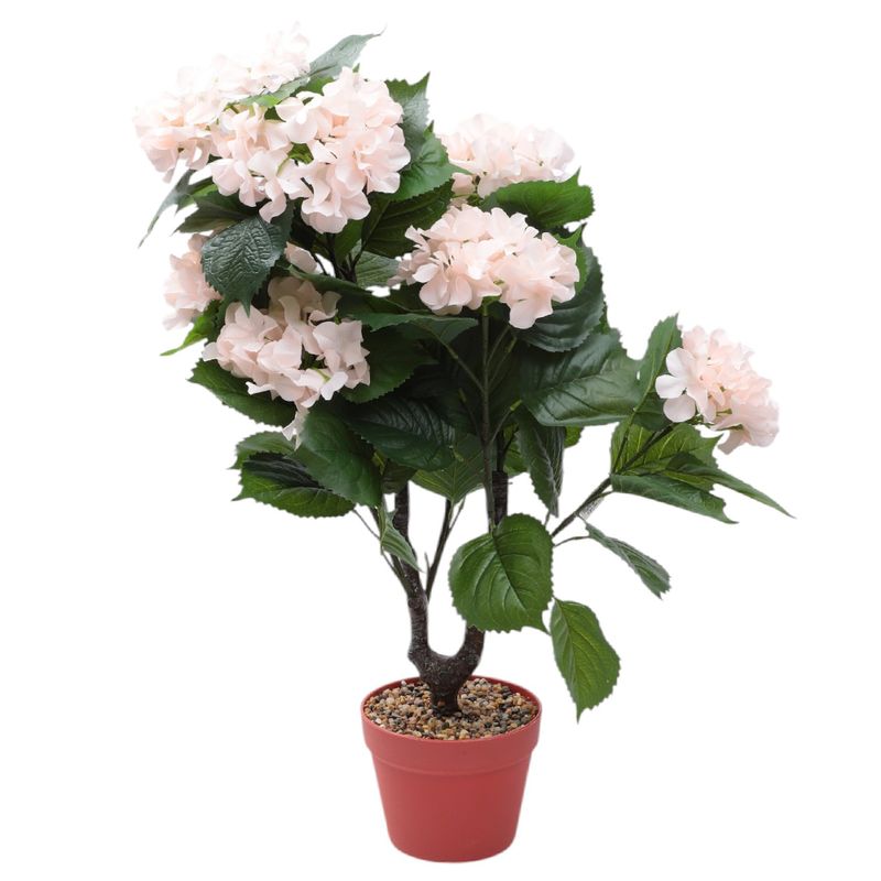 104726823-Arbusto-de-hortensias-con-maceta-80cm